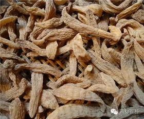 明目的中藥 天麻明目還能變聰明