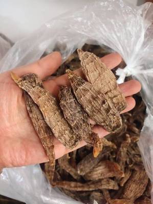 長(zhǎng)白山野生干天麻