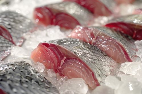 生物食品美食魚(yú)片圖片攝影圖 廣告素材 下載至來(lái)源處