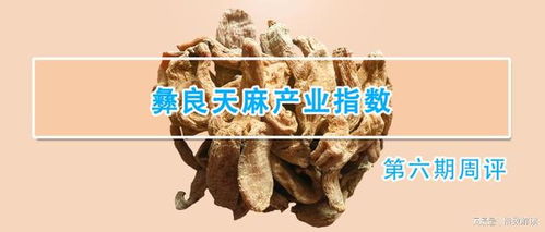 彝良天麻產(chǎn)業(yè)指數(shù)第六期周評(píng)