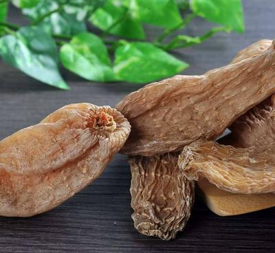 種植天麻產地直銷,免費打粉