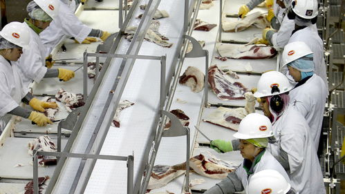 美國(guó)肉類工廠疫情危機(jī) 570人集體感染新冠，疫情期間被迫開工的背后